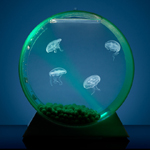 jellyfishart